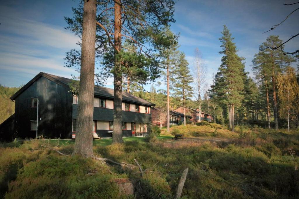 Fossanasen Hotel Flesberg