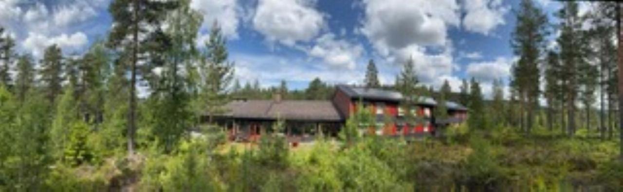 Fossanåsen Hotell Flesberg